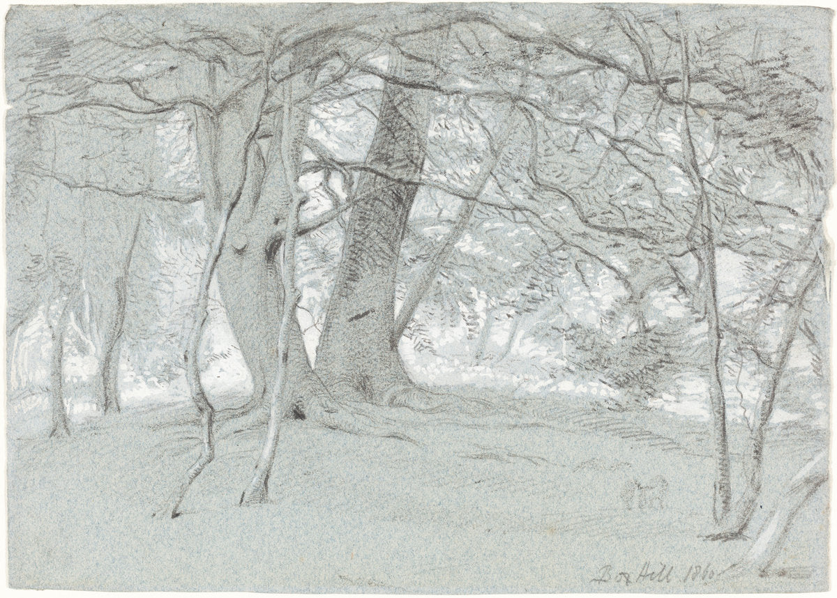 Trees at Box Hill by Sir William Blake Richmond (British, 1842 - 1921), 16X12"(A3)Poster Print