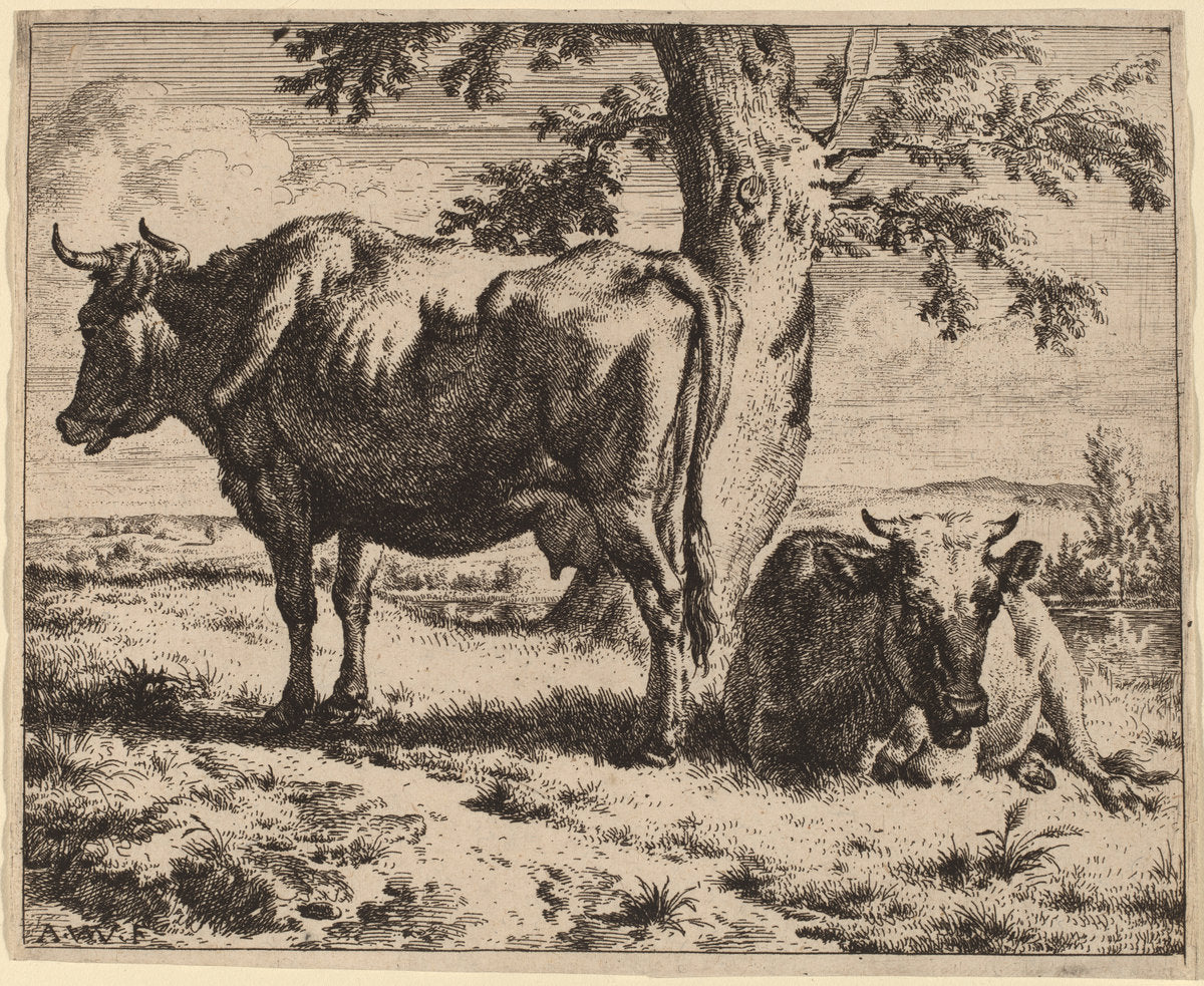Two Cows under a Tree by Adriaen van de Velde (Dutch, 1636 - 1672), 16X12"(A3)Poster Print