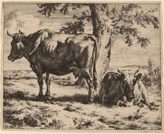 Two Cows under a Tree by Adriaen van de Velde (Dutch, 1636 - 1672), 16X12"(A3)Poster Print