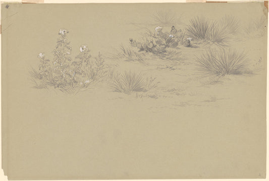 19th century by American 19th Century after John Frederick Kensett (Flowering Bush and Desert Plants), 16X12"(A3)Poster Print