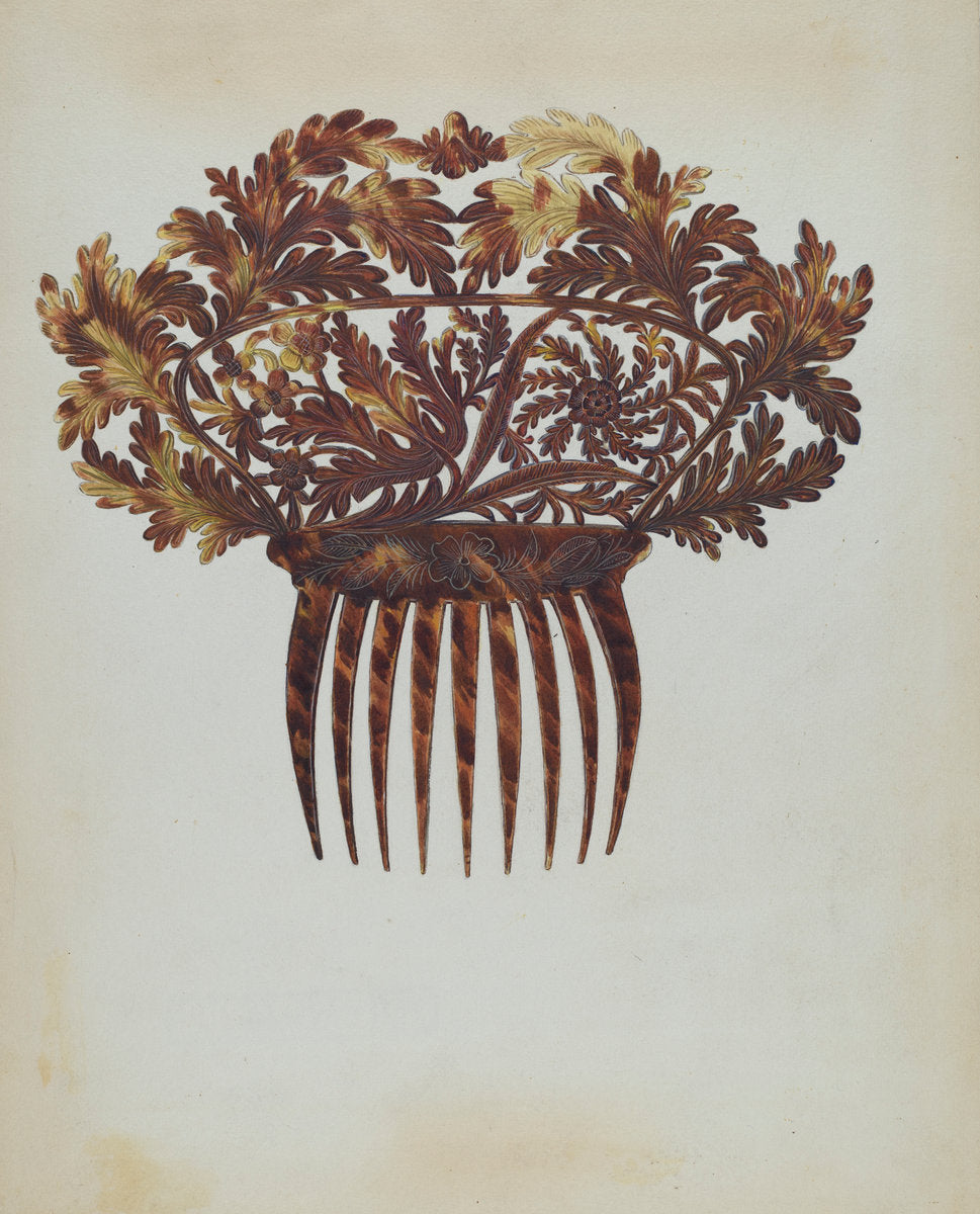 Comb by Jessie M. Benge (American, active c. 1935), 16X12"(A3)Poster Print