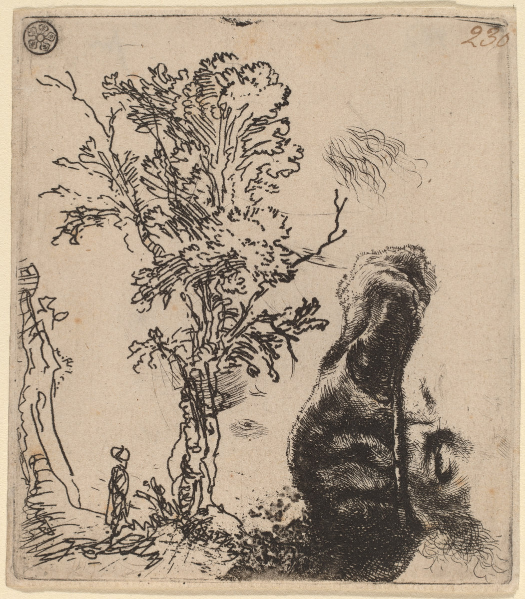 Sheet with Two Studies:  a Tree, and the Upper Part of a Head of the Artist Wearing a Velvet Cap by Rembrandt van Rijn (Dutch, 1606 - 1669), 16X12"(A3)Poster Print