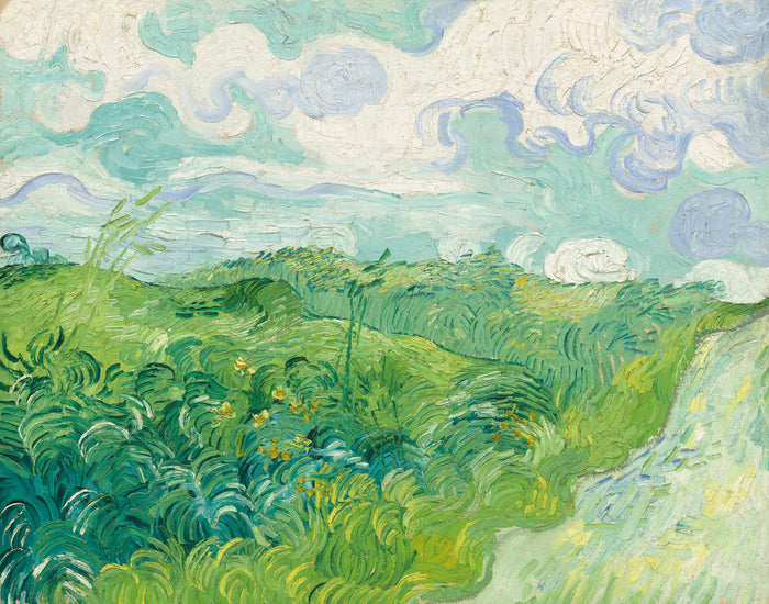 Green Wheat Fields, Auvers by Vincent van Gogh (Dutch, 1853 - 1890), 16X12