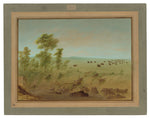 Mired Buffalo and Wolves by George Catlin (American, 1796 - 1872), 16X12"(A3)Poster Print