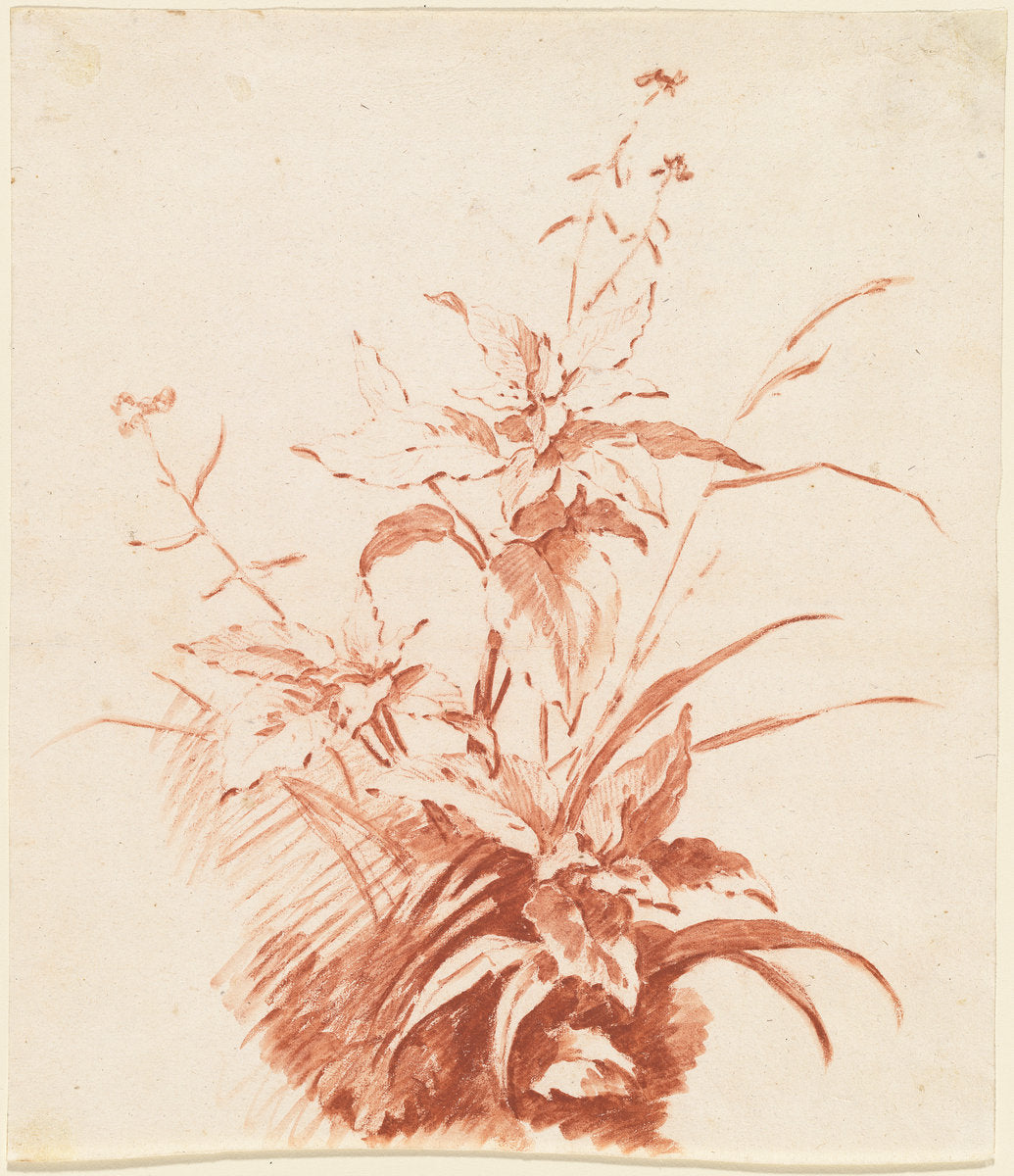 Flowering Plant with Grass by Jean-Baptiste Hüet, I (French, 1745 - 1811), 16X12"(A3)Poster Print
