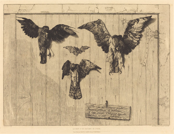 Le Haut d'un battant de porte (Birds Nailed to a Barn Door) by Félix Bracquemond (French, 1833 - 1914), 16X12"(A3)Poster Print