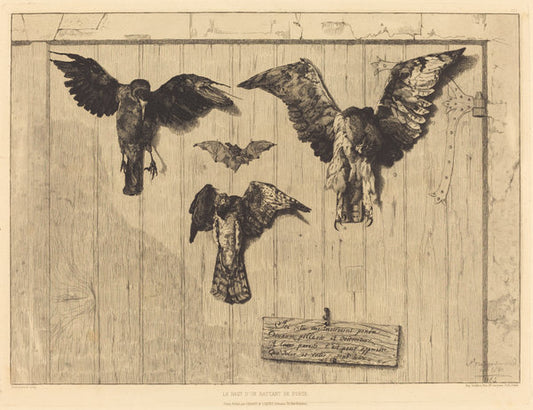 Le Haut d'un battant de porte (Birds Nailed to a Barn Door) by Félix Bracquemond (French, 1833 - 1914), 16X12"(A3)Poster Print