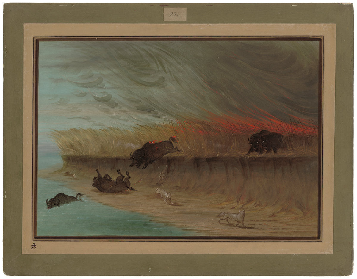 Prairie Meadows Burning by George Catlin (American, 1796 - 1872), 16X12"(A3)Poster Print