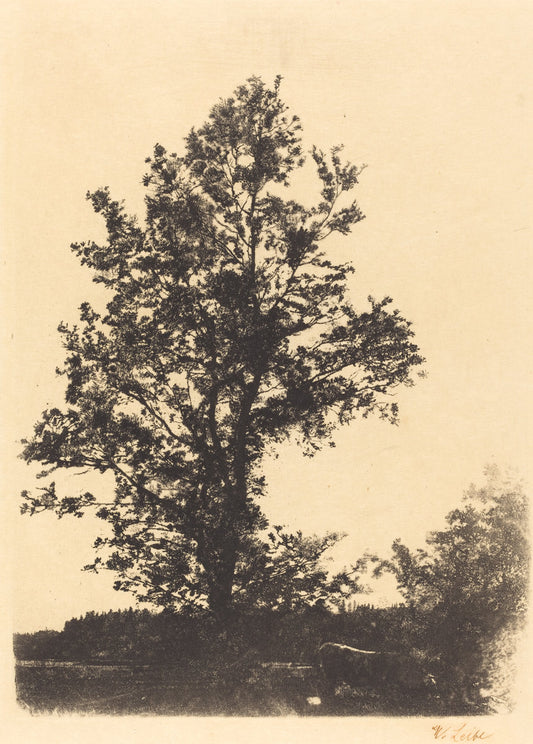 The Large Tree by Wilhelm Leibl (German, 1844 - 1900), 16X12"(A3)Poster Print