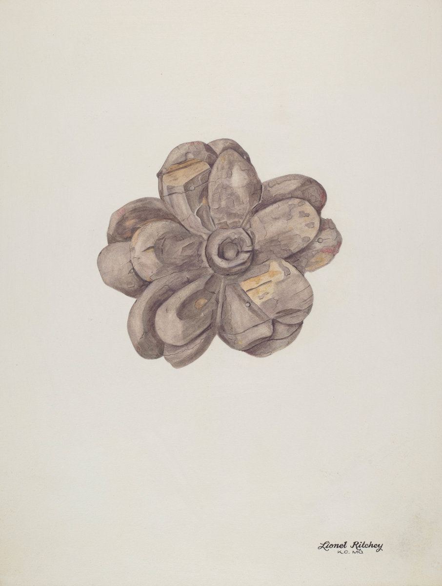 Wood Carving - Flower by Lionel Ritchey (American, active c. 1935), 16X12"(A3)Poster Print