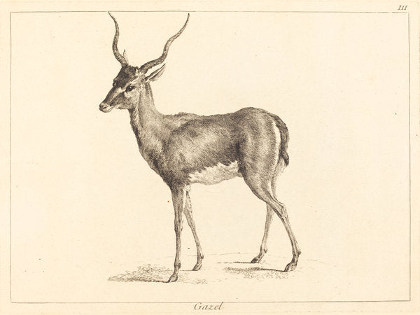 Gazel (Gazelle) by Jacques-Philippe Le Bas and Jean Eric Rehn after Jean-Baptiste Oudry (Swedish, 1717 - 1793), 16X12"(A3)Poster Print