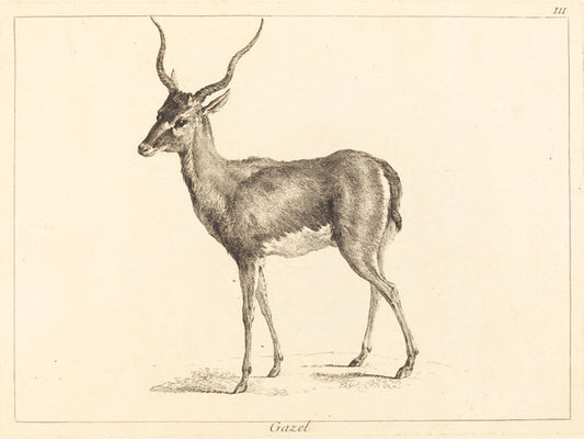 Gazel (Gazelle) by Jacques-Philippe Le Bas and Jean Eric Rehn after Jean-Baptiste Oudry (Swedish, 1717 - 1793), 16X12"(A3)Poster Print