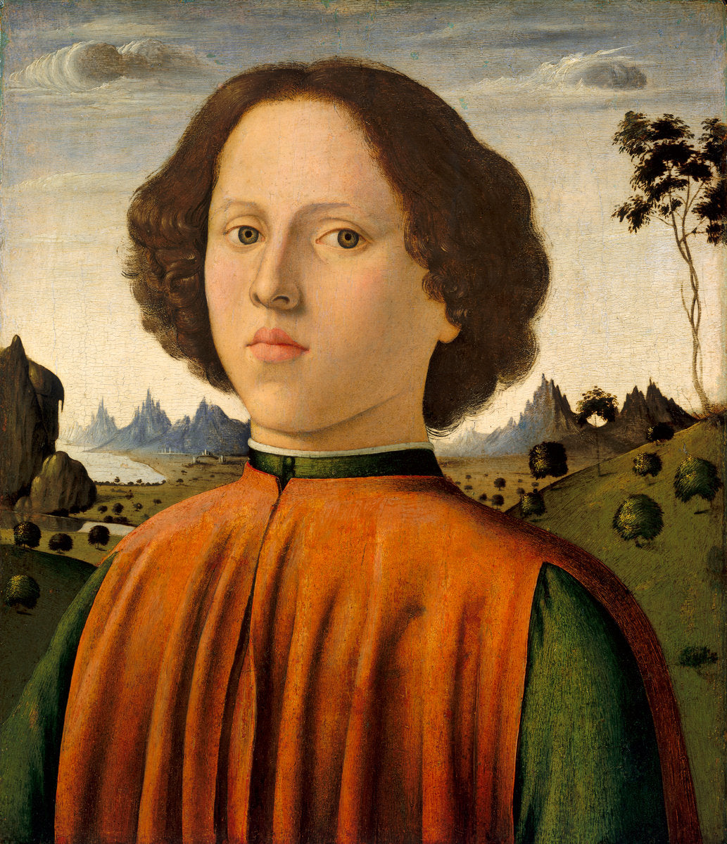 Portrait of a Boy by Biagio d'Antonio (Florentine, c. 1446 - 1516), 16X12"(A3)Poster Print