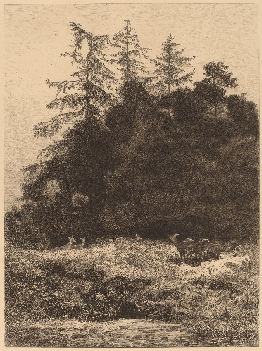 Daims dans un Parc by Karl Bodmer (Swiss, 1809 - 1893), 16X12"(A3)Poster Print