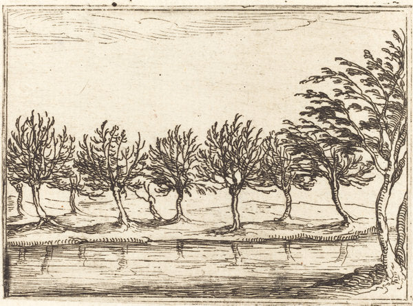 Willows by the Water's Edge by Jacques Callot (French, 1592 - 1635), 16X12"(A3)Poster Print