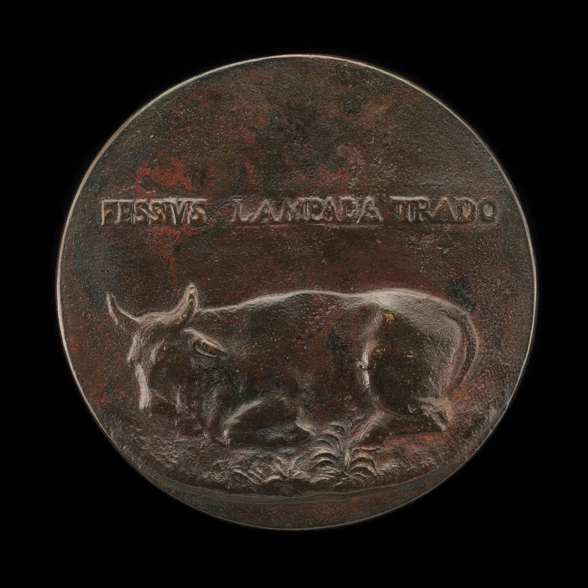 Reclining Bovine [reverse] by Martino da Bergamo (Italian, active c. 1565?), 16X12"(A3)Poster Print