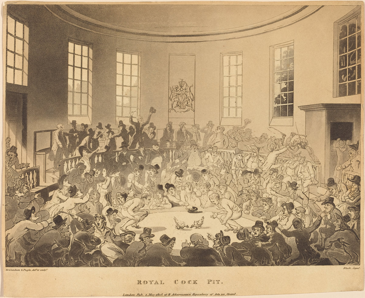 Royal Cock Pit by Thomas Rowlandson (British, 1756 - 1827), 16X12"(A3)Poster Print