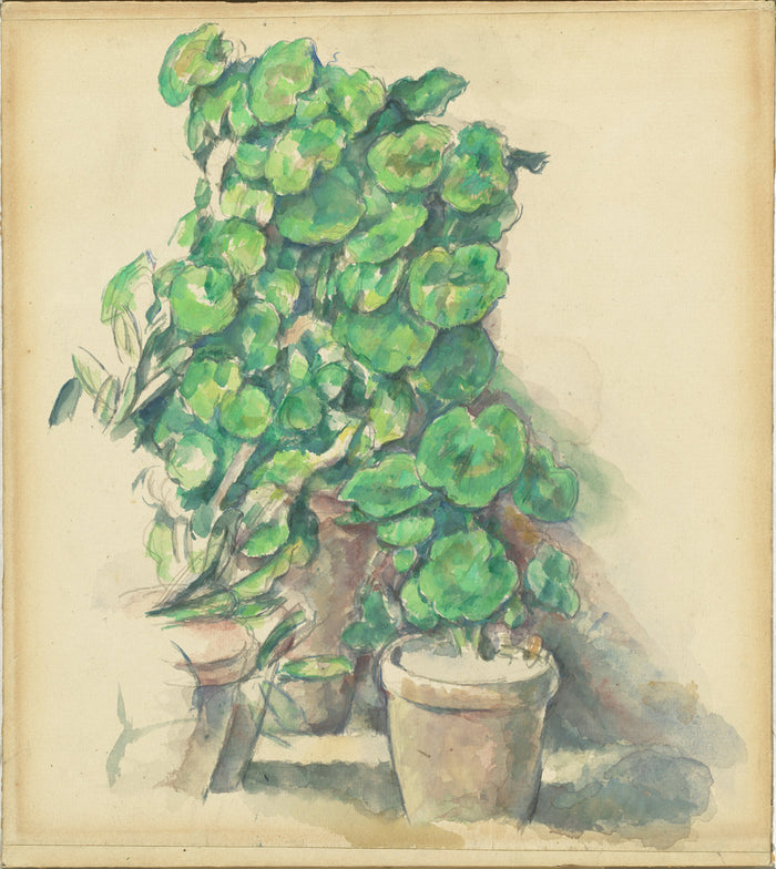 Geraniums by Paul Cézanne (French, 1839 - 1906), 16X12