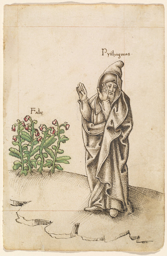 1512/1514 by French early 16th Century ("Do Not Eat Beans" [fol. 25 recto]), 16X12"(A3)Poster Print