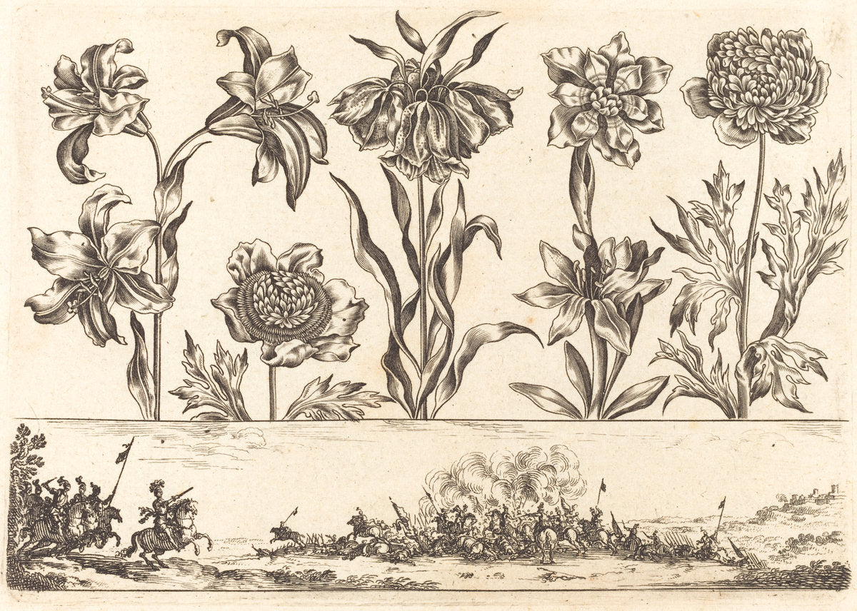 Flower Print no.8 by Nicolas Cochin after Balthasar Moncornet (French, 1610 - 1686), 16X12"(A3)Poster Print