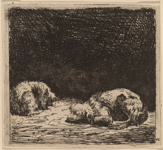 Dog and Cat by Karel Dujardin (Dutch, c. 1622 - 1678), 16X12"(A3)Poster Print