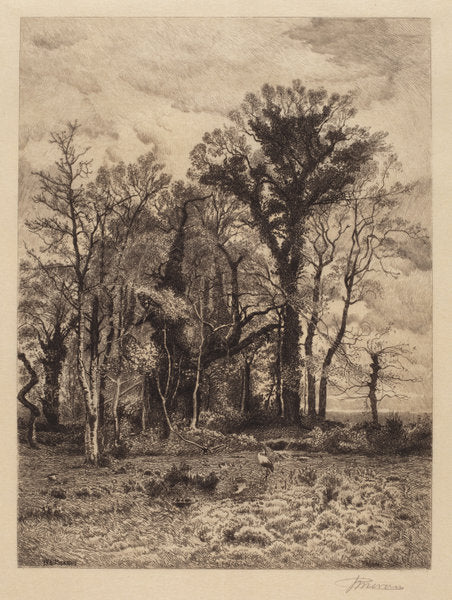 The Edge of the Swamp by Peter Moran (American, 1841 - 1914), 16X12"(A3)Poster Print