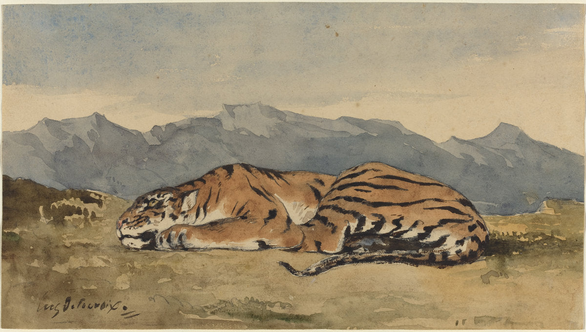 Tiger by Eugène Delacroix (French, 1798 - 1863), 16X12"(A3)Poster Print
