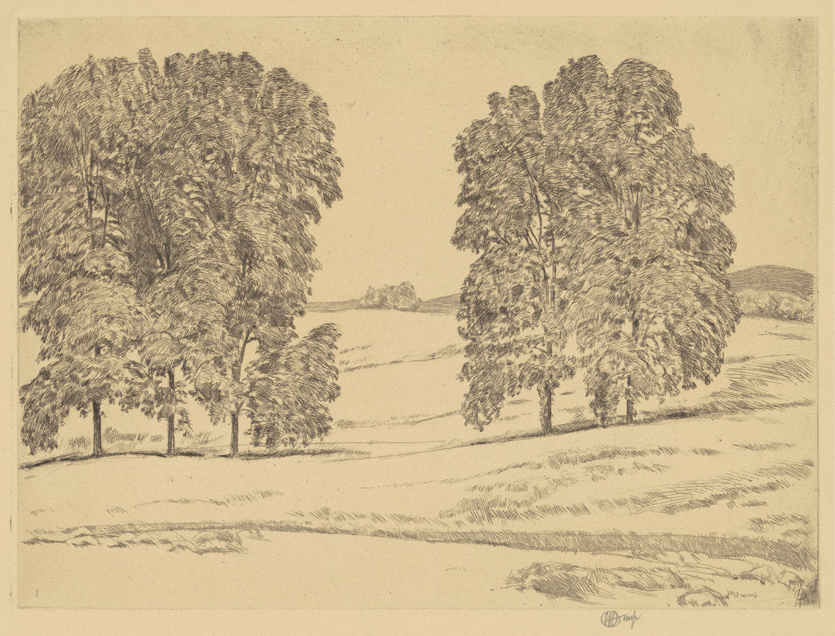 Hickories in a Hayfield by Childe Hassam (American, 1859 - 1935), 16X12"(A3)Poster Print