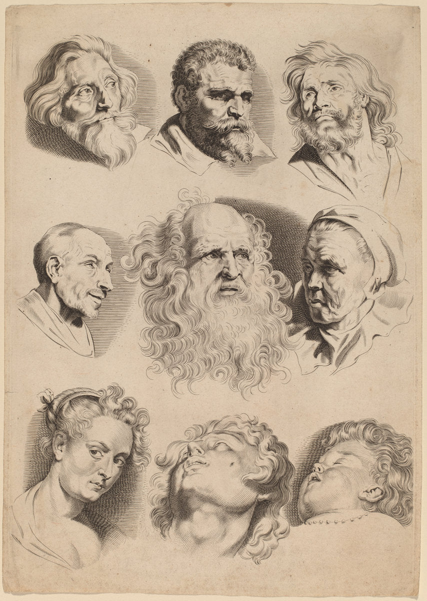 Nine Heads by Paulus Pontius after Sir Peter Paul Rubens (Flemish, 1603 - 1658), 16X12"(A3)Poster Print