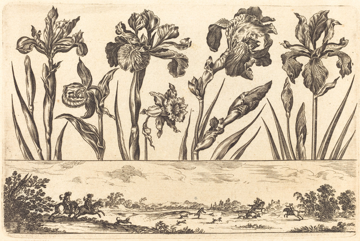 Flower Print no.3 by Nicolas Cochin after Balthasar Moncornet (French, 1610 - 1686), 16X12"(A3)Poster Print