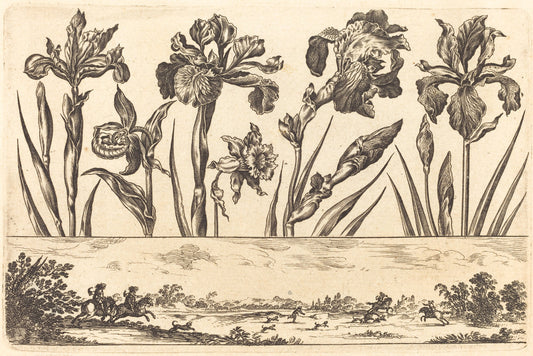 Flower Print no.3 by Nicolas Cochin after Balthasar Moncornet (French, 1610 - 1686), 16X12"(A3)Poster Print