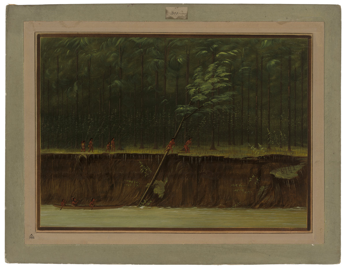 View of the Lower Mississippi by George Catlin (American, 1796 - 1872), 16X12"(A3)Poster Print