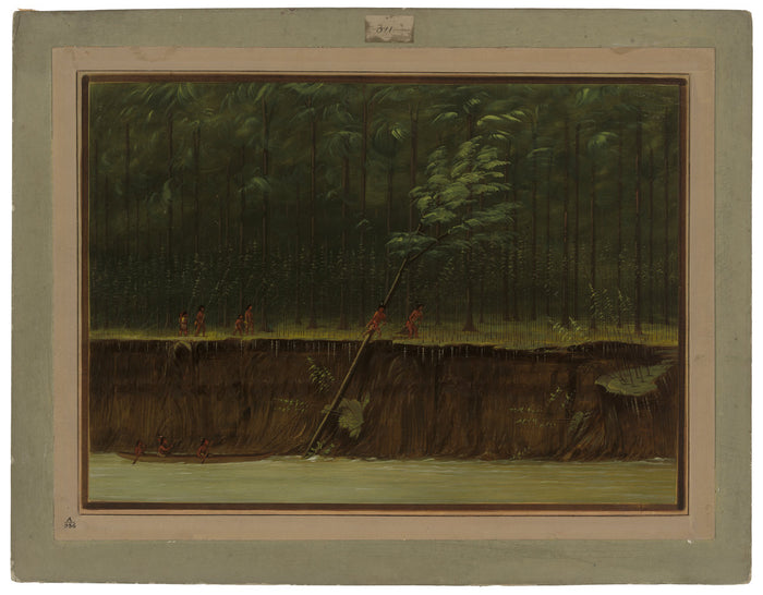 View of the Lower Mississippi by George Catlin (American, 1796 - 1872), 16X12