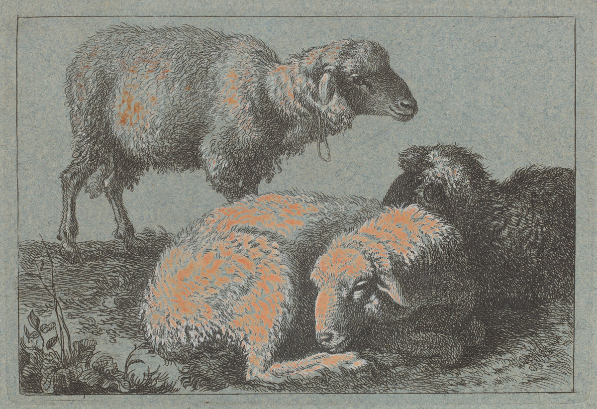 Two Reclining Sheep and One Standing Sheep by Francesco Londonio (Italian, 1723 - 1783), 16X12"(A3)Poster Print
