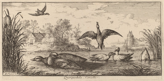 Querpedula, The Teal by Albert Flamen (Flemish, c. 1620 - 1669 or after), 16X12"(A3)Poster Print