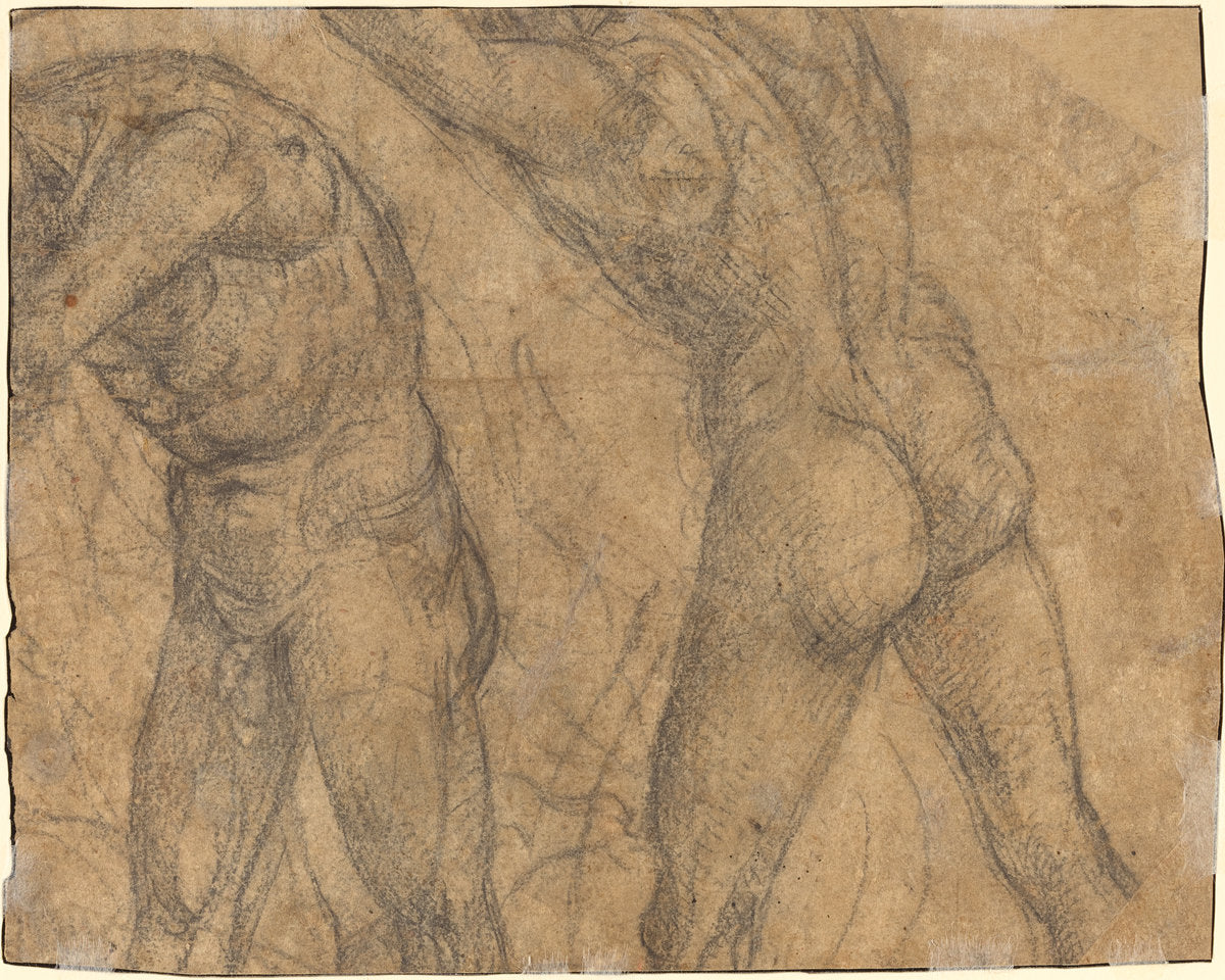 Two Nude Figures [verso] by Luca Signorelli (Umbrian, 1445/1450 - 1523), 16X12"(A3)Poster Print