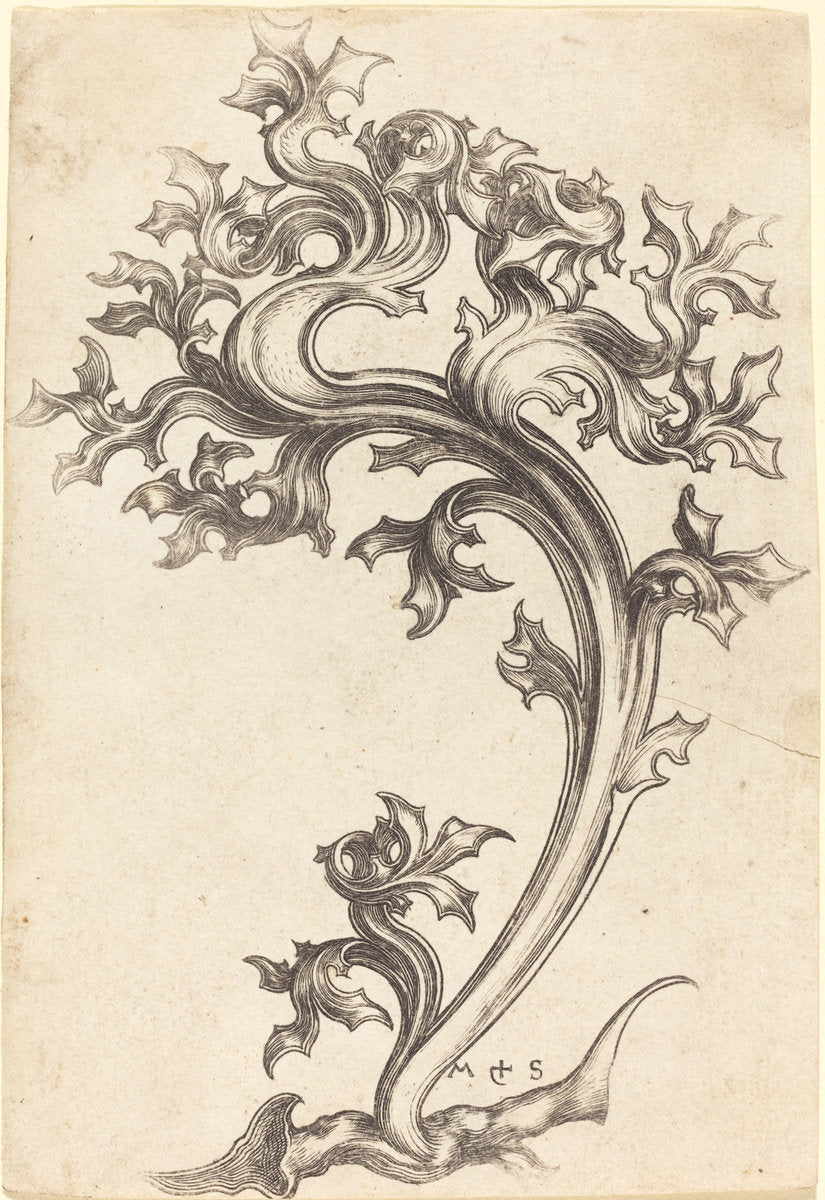 Thistle Ornament by Martin Schongauer (German, c. 1450 - 1491), 16X12"(A3)Poster Print