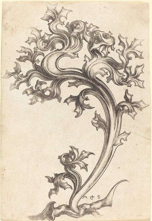 Thistle Ornament by Martin Schongauer (German, c. 1450 - 1491), 16X12"(A3)Poster Print