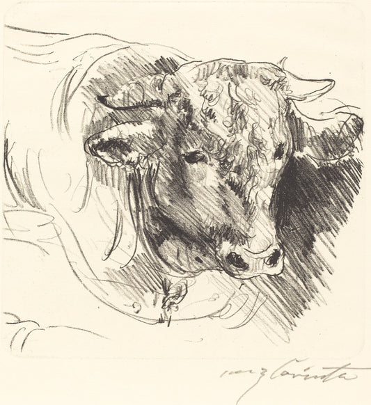 Head of a Steer (Stierkopf) by Lovis Corinth (German, 1858 - 1925), 16X12"(A3)Poster Print