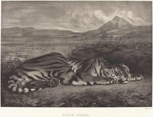 Royal Tiger (Tigre Royal) by Eugène Delacroix (French, 1798 - 1863), 16X12"(A3)Poster Print