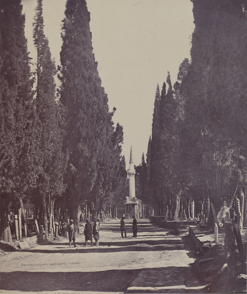 Vue dans le Grand Cimetière de Scutari (Scene in the Large Cemetery of Scutari) by James Robertson (British, 1813 - 1888), 16X12"(A3)Poster Print