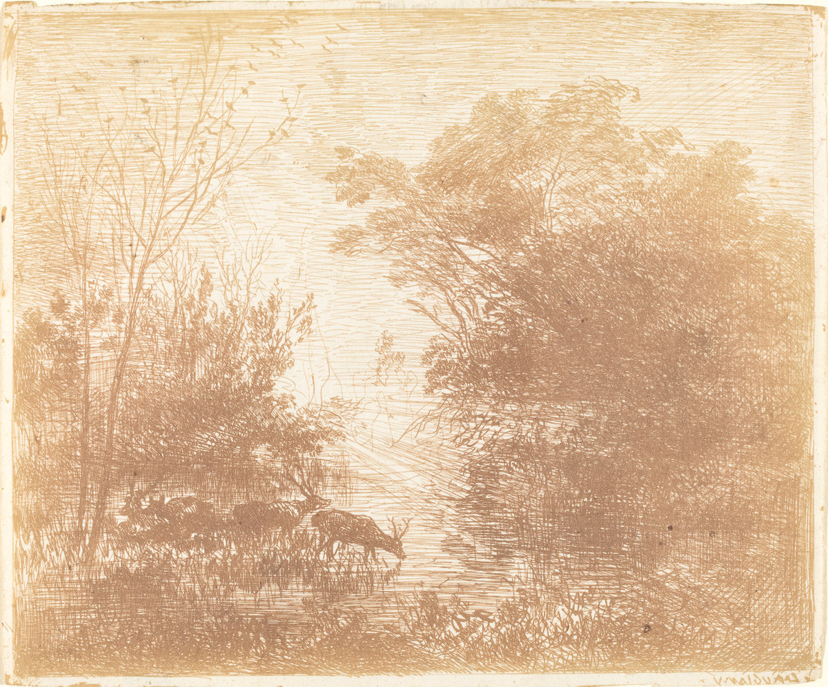 Deer (Les Cerfs) by Charles-François Daubigny (French, 1817 - 1878), 16X12"(A3)Poster Print
