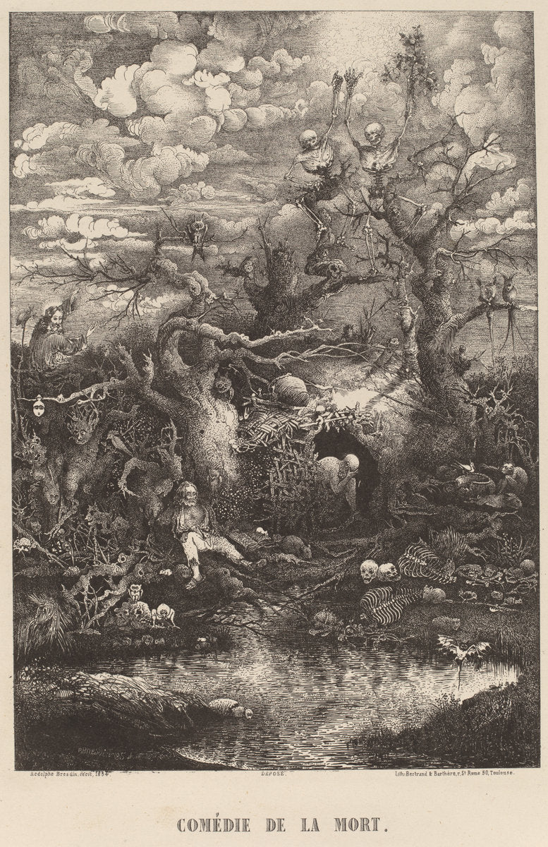 Comedie de la Mort by Rodolphe Bresdin (French, 1822 - 1885), 16X12"(A3)Poster Print