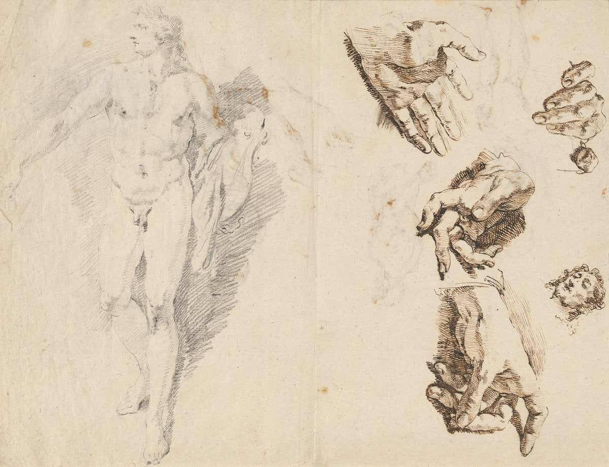 Apollo and Studies of the Artist's Own Hand [recto] by Francesco Fontebasso (Venetian, 1709 - 1769), 16X12"(A3)Poster Print