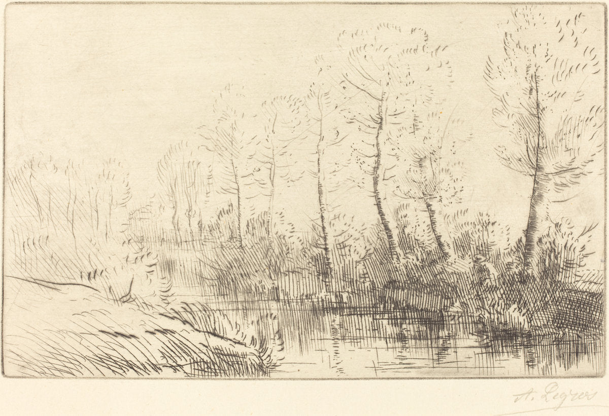 Birch Trees: Water's Edge Seen in Morning Light (Les bouleaux: Bord de l'eau, effet du matin by Alphonse Legros (French, 1837 - 1911), 16X12"(A3)Poster Print