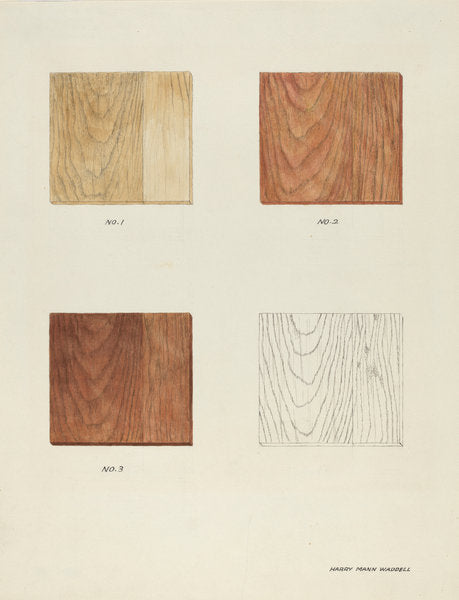 Wood Grain (Demo.) by Harry Mann Waddell (American, active c. 1935), 16X12"(A3)Poster Print