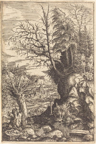 Landscape with a Willow by Hanns Lautensack (German, 1524 - 1561/1566), 16X12"(A3)Poster Print
