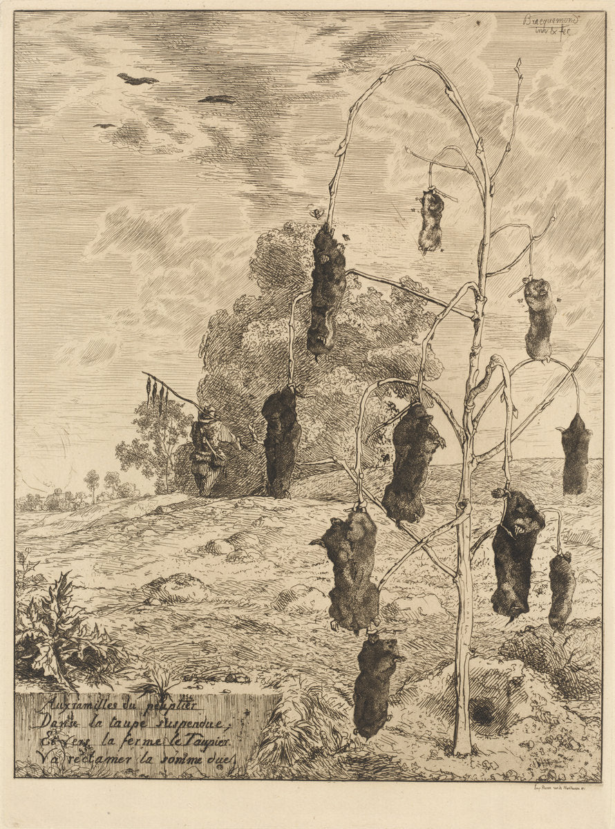 The Moles (Les taupes) by Félix Bracquemond (French, 1833 - 1914), 16X12"(A3)Poster Print