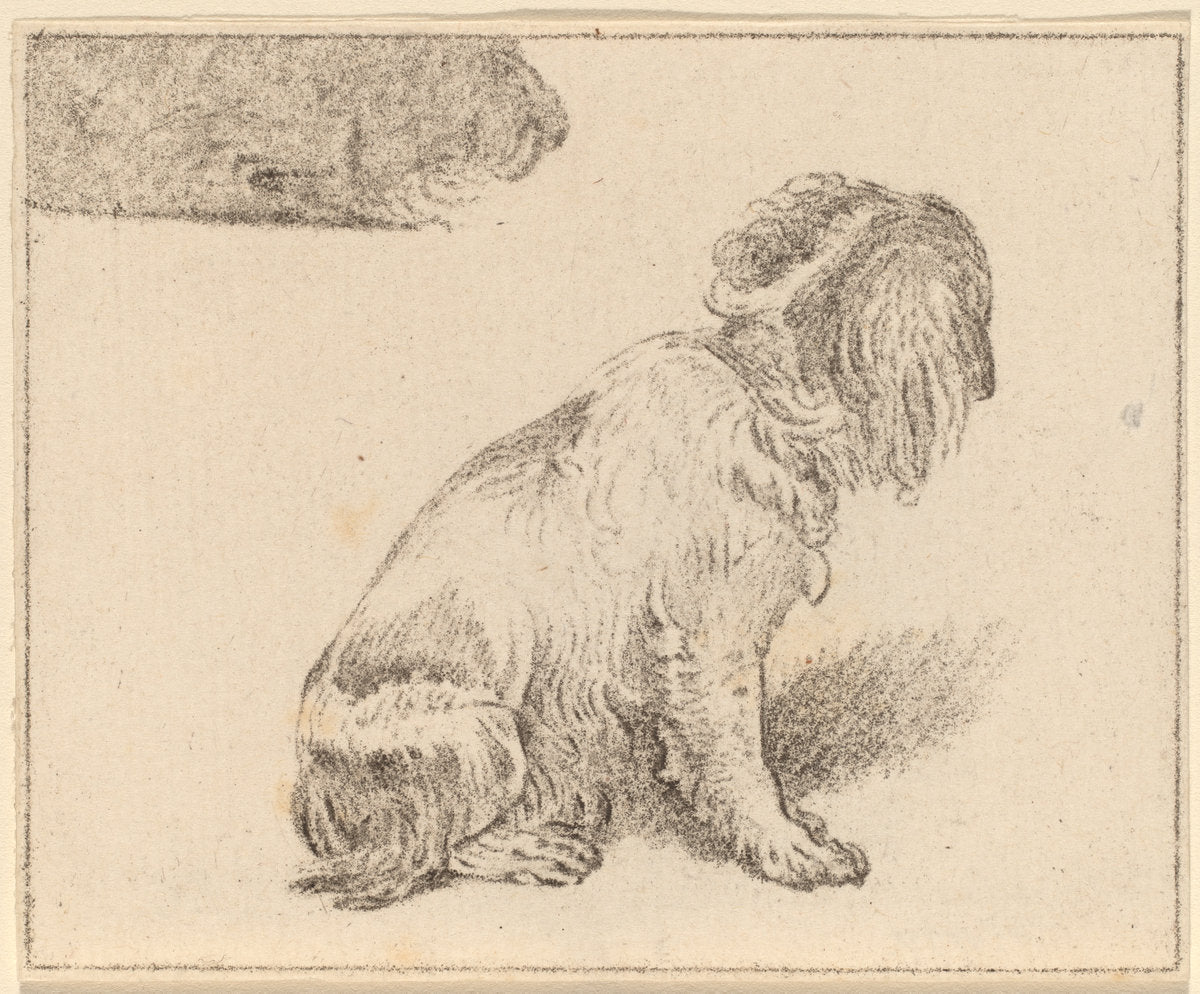 Seated Dog by Cornelis Ploos van Amstel and Cornelis Brouwer after Frans van Mieris (Dutch, 1726 - 1798), 16X12"(A3)Poster Print