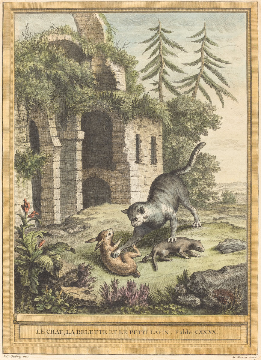 Le chat, la balette et le petit lapin (The Cat, the Weasel, and the Rabbit) by Martin Marvie after Jean-Baptiste Oudry (French, 1713 - 1813), 16X12"(A3)Poster Print